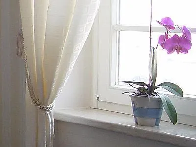 Hotel Altes Hafenhaus Rostock